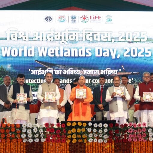 Wetland conservation