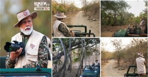 विश्व वन्यजीव दिवस: प्रधानमंत्री मोदी ने गिर राष्ट्रीय उद्यान का दौरा कर संरक्षण प्रयासों की सराहना की