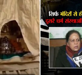 Accusations of insult