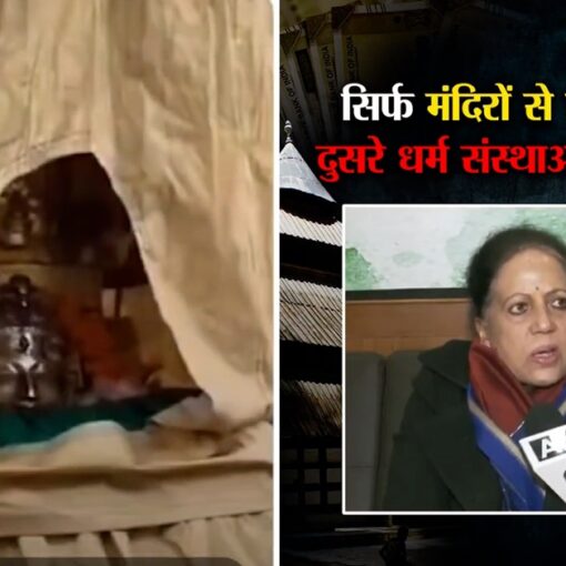 Accusations of insult