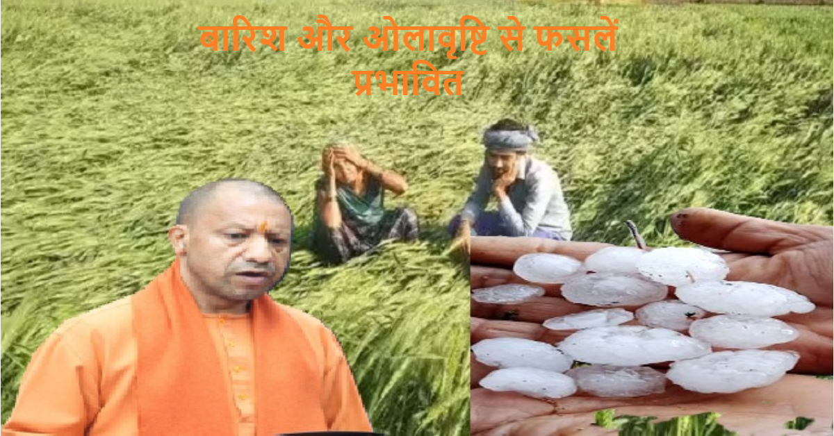 यूपी में बारिश और ओलावृष्टि से फसलें प्रभावित, मुख्यमंत्री ने दिए राहत कार्य तेज करने के निर्देश