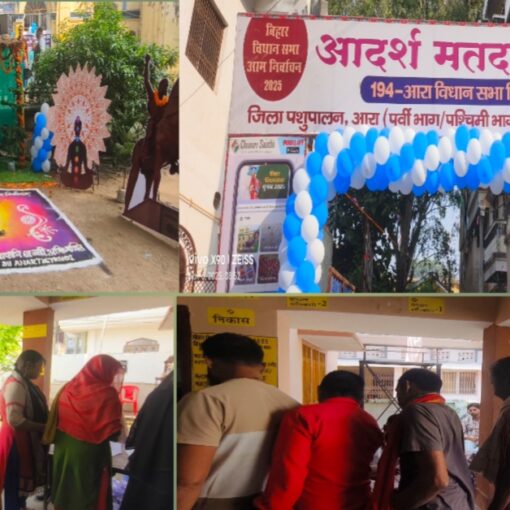 आरा में बुजुर्ग और महिला मतदाताओं का उत्साह, मतदान केंद्रों पर लोकतंत्र का उत्सव